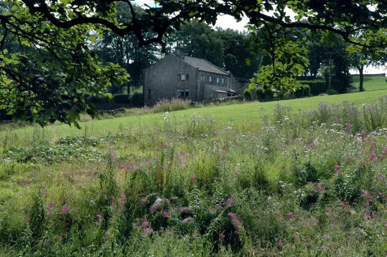 a building and flowers are in the grass