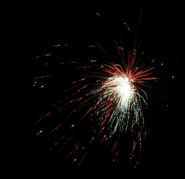 a large fireworks is being lit up in the night sky