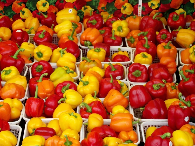 a variety of colorful peppers in baskets on display