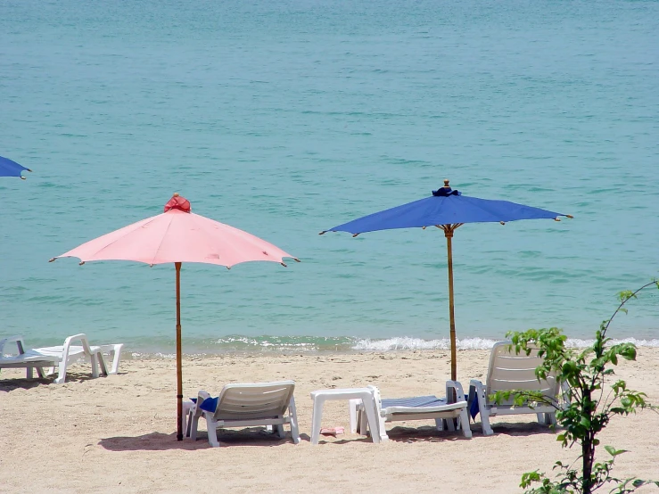 a row of blue and pink umbrellas sitting on the beach