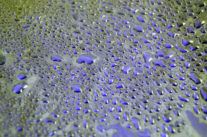 water drops that have been taken off of a blue bottle