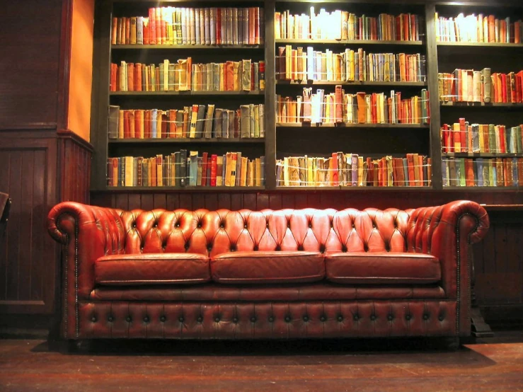 this is a red leather couch in front of a bookcase full of books