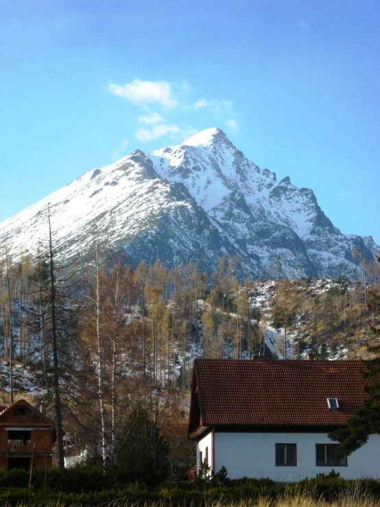 the snowy mountain behind some buildings and trees