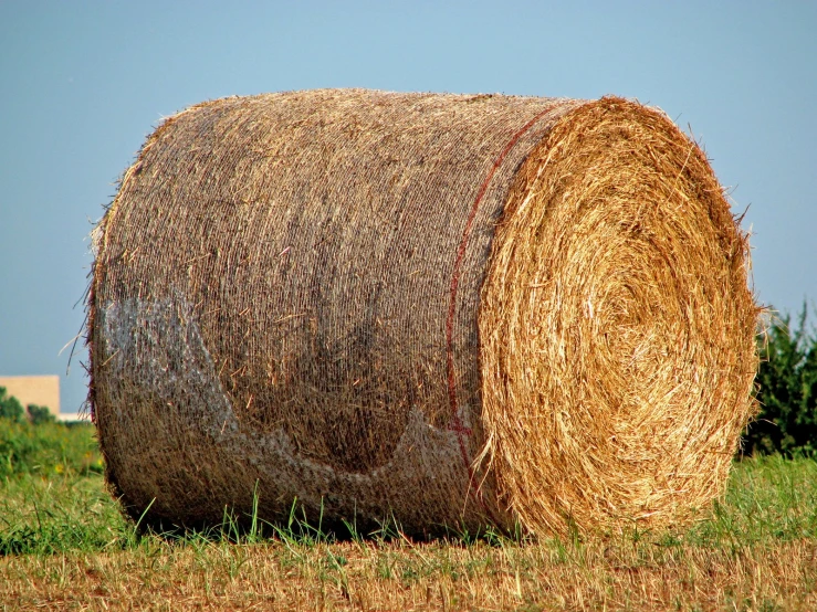 a big round bale of hay sits on the grass