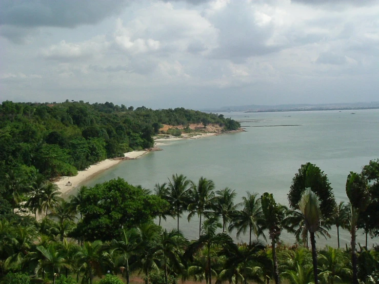 a large body of water surrounded by trees and land