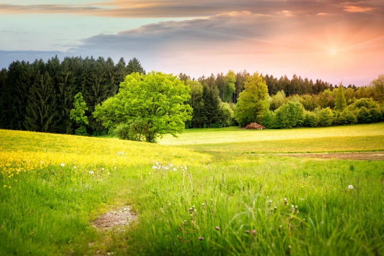 the sun is setting over a grassy hill