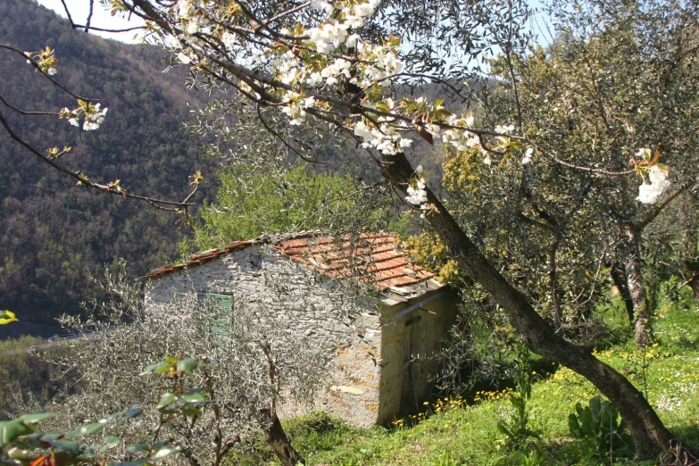 a small stone building is surrounded by some trees