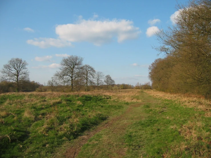 a very empty field with a few trees and green grass