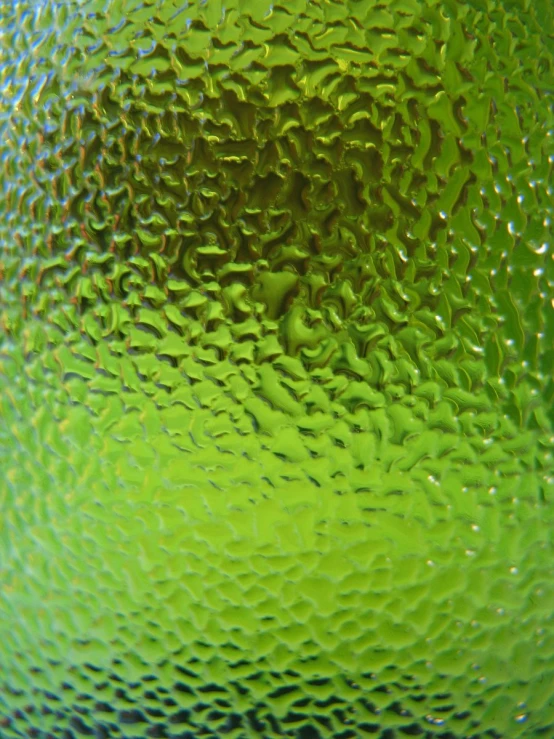 an interesting green pattern with small bumps of water