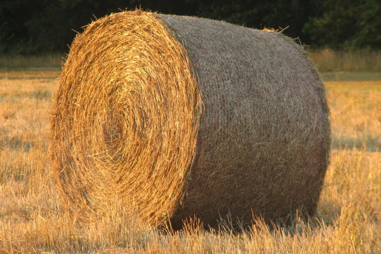 some hay bails are still out of the field