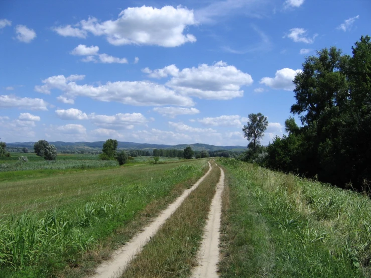 a dirt road running between grassy land and trees