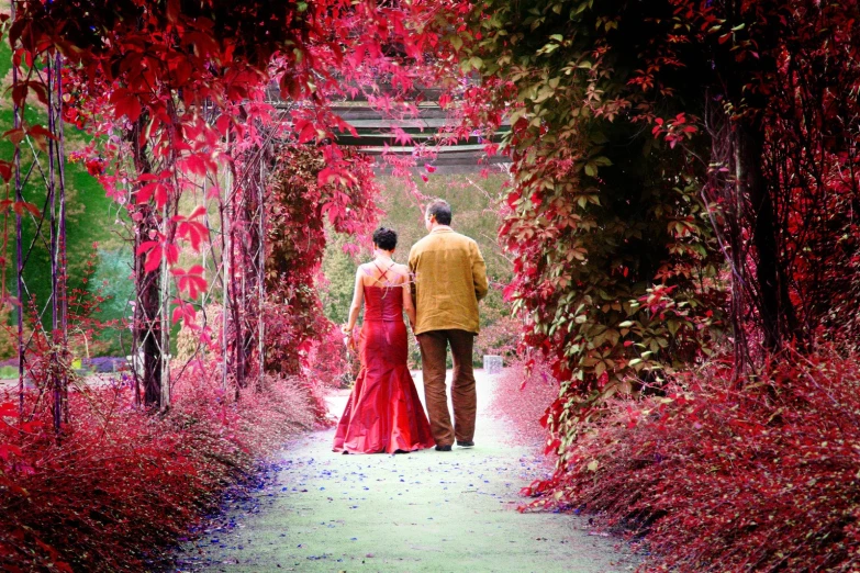 two people walk through a tunnel of red flowers