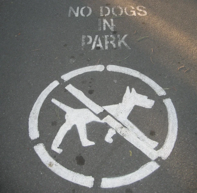 there is a painted sign on the road that says no dogs in park