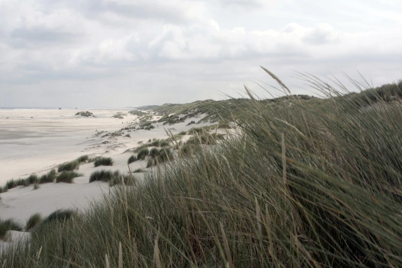 a large beach covered in sand and sea oats