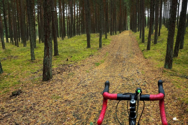 a bicycle sitting on the side of a dirt road surrounded by trees