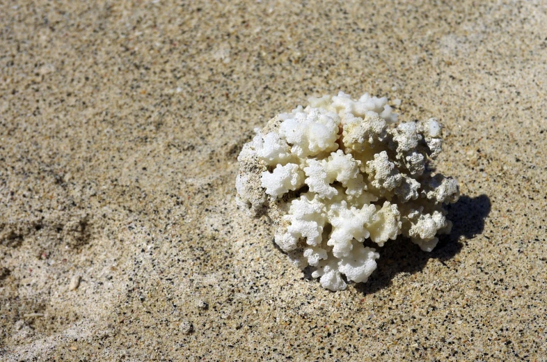 a white object is on the beach sand