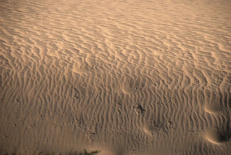 a vast sandy landscape of ridges and tracks in the sand