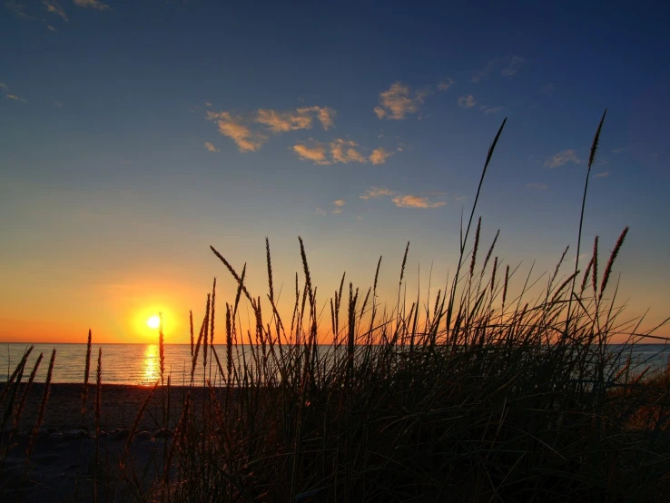 the sun rising behind the ocean in front of grass