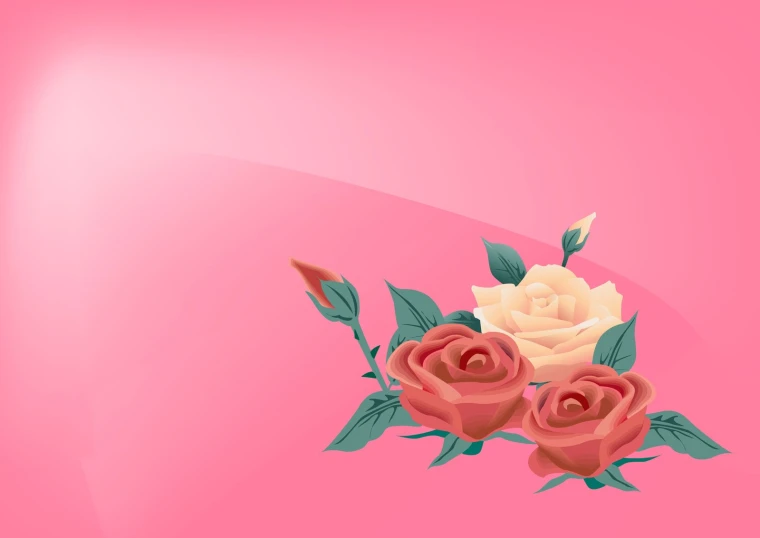 there are two roses in front of a pink background
