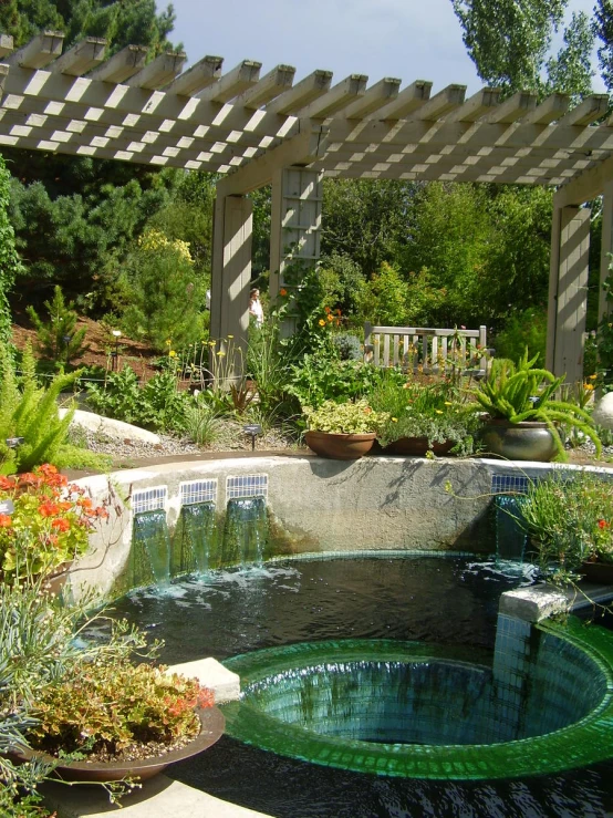 a garden scene with various trees and plants