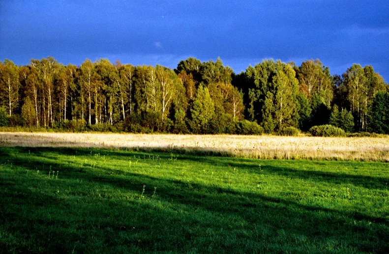 an empty field with trees and grass in the distance