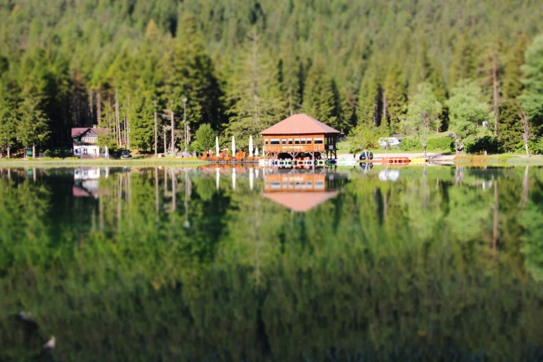 a lake with green water and trees in the background