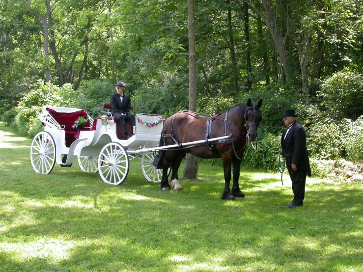two men and a horse drawn carriage in a field