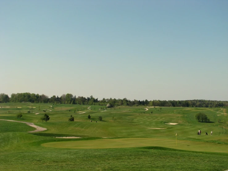 people are playing golf on a green golf course