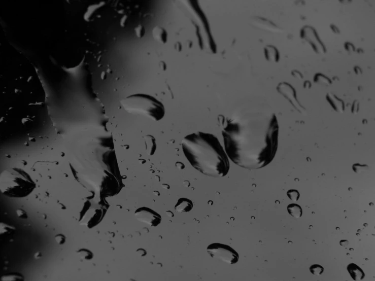 black and white image of raindrops against a black background