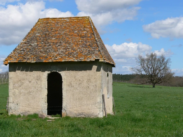 an old outhouse with tile roof sitting in a green pasture
