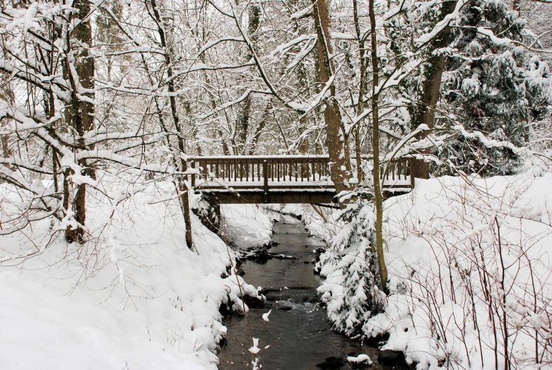 a bridge in the snow and there is some water under