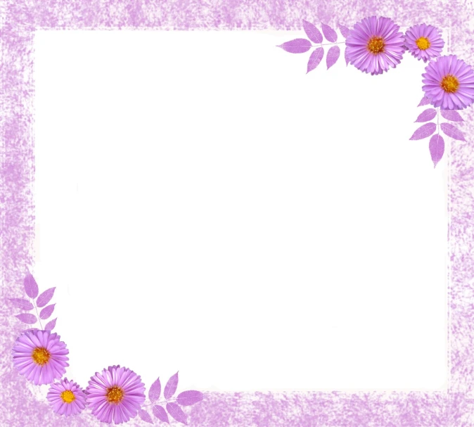 a white and purple frame with daisies on top