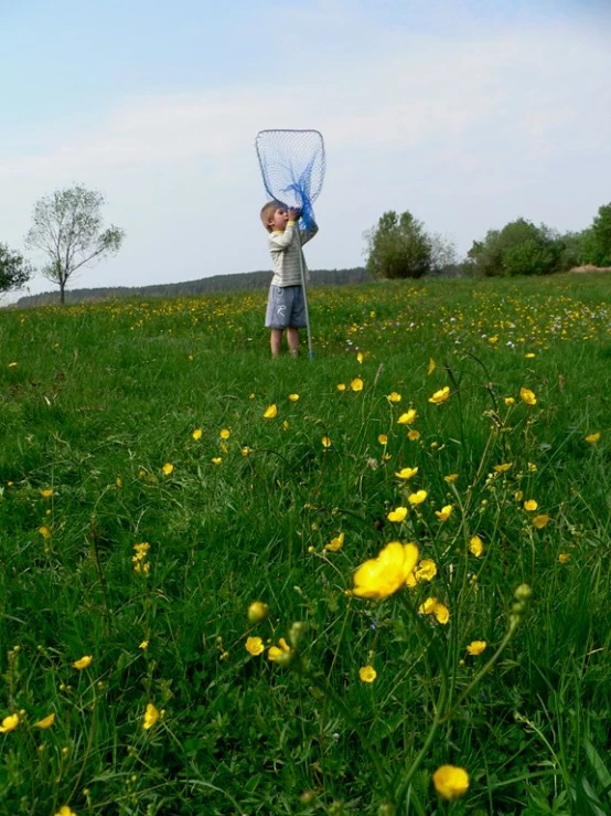 a  is in a field with flowers