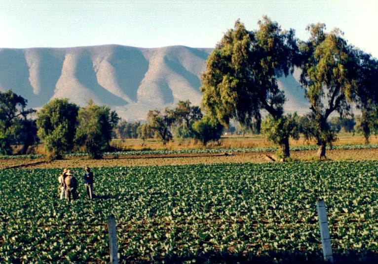 the two people are walking through the middle of a large field