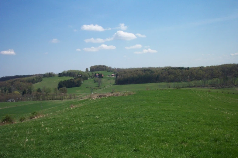 a large lush green field surrounded by trees