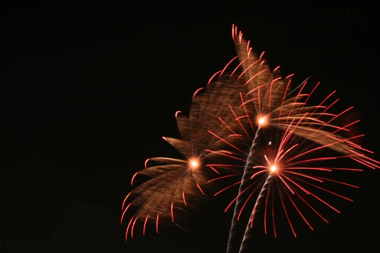 fireworks in the air above the trees on the other side