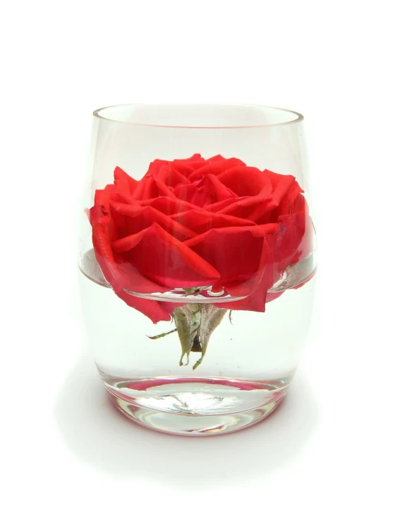 the red rose is inside of a clear vase