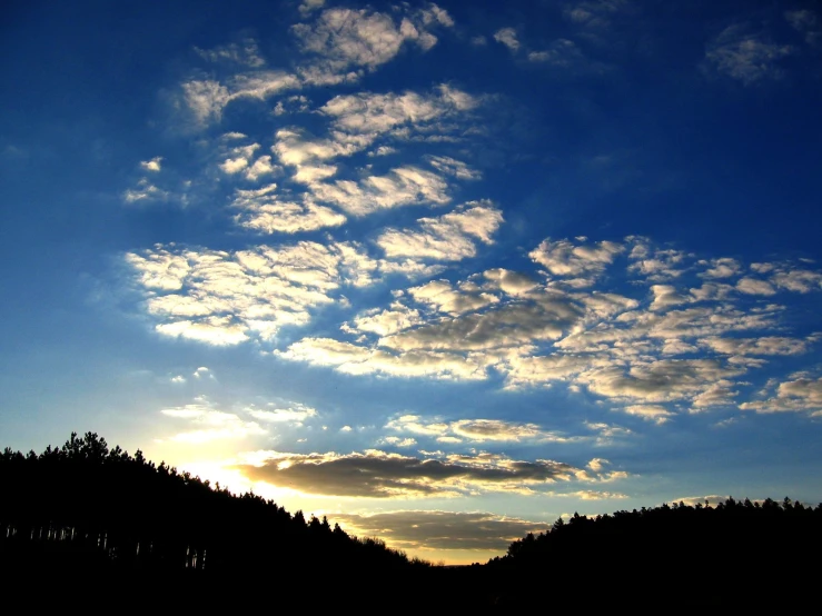 silhouettes of trees with a sunset and cloudy sky