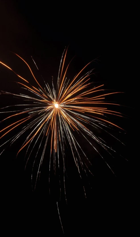 a large fireworkswork in the night sky with sparks