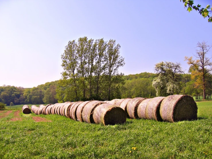 a line of hay bales in the middle of a green field