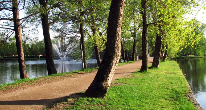 a park that is filled with trees near water