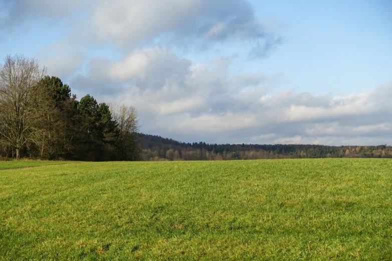 green field with a few white clouds in the sky