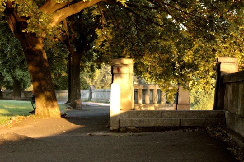 an empty park with tree leaves and benches