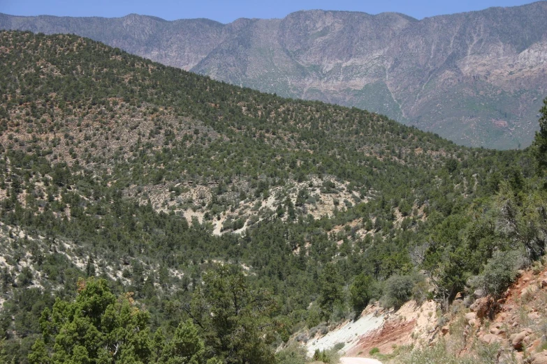 a landscape image with a trail going down the hill