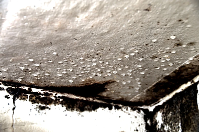 close up of a table topped with water drops