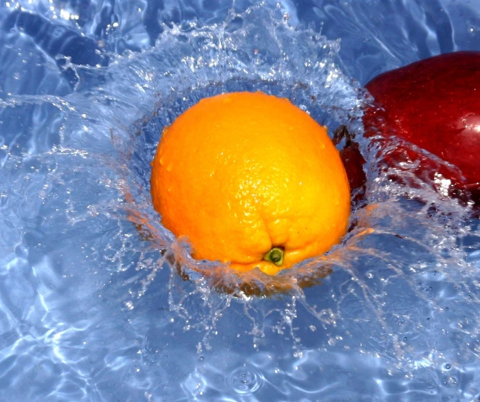 a red apple and an orange sit in water