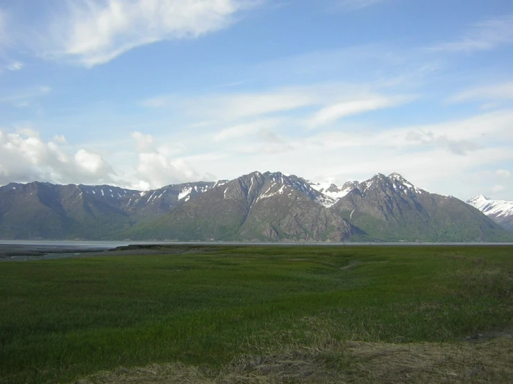 a field with grass and mountains in the background
