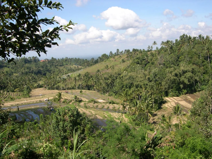 an area with hills and trees that has a dirt track