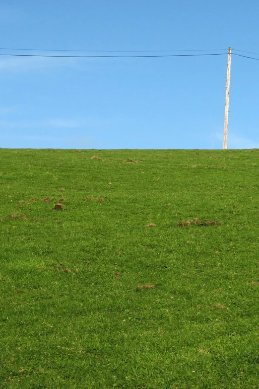 a field with a single white fence sticking out of it