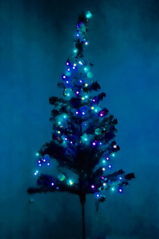 a little tree lit up with blue lights